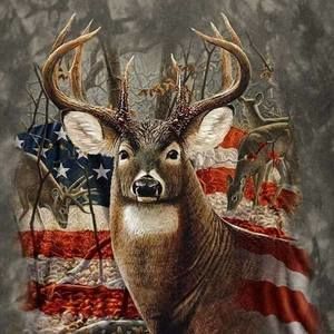 Meet your Posher, Ken